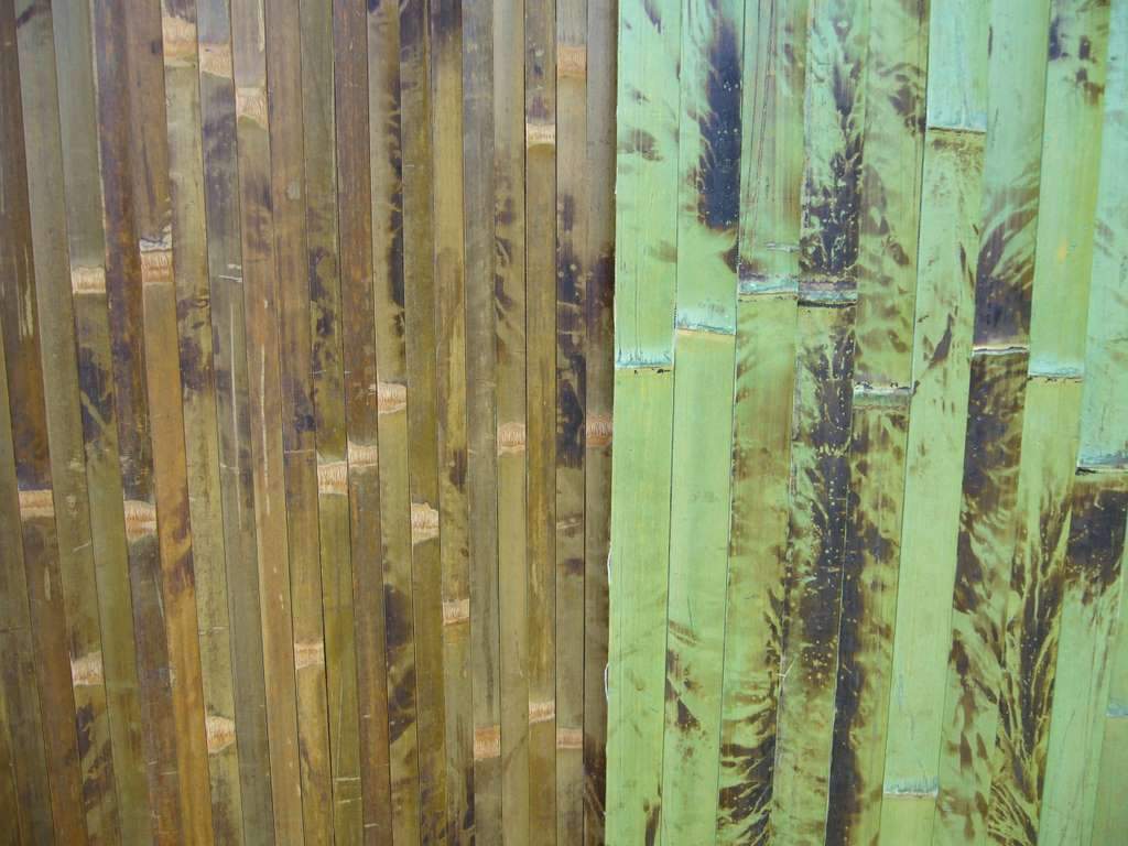 bambusz falburkolatok
